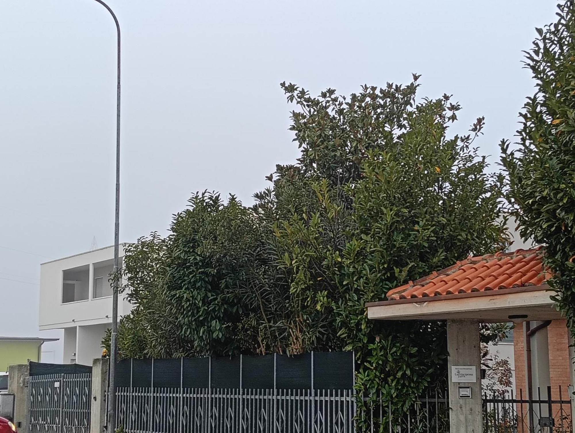 Ostra La Principessa Nera B&B الغرفة الصورة