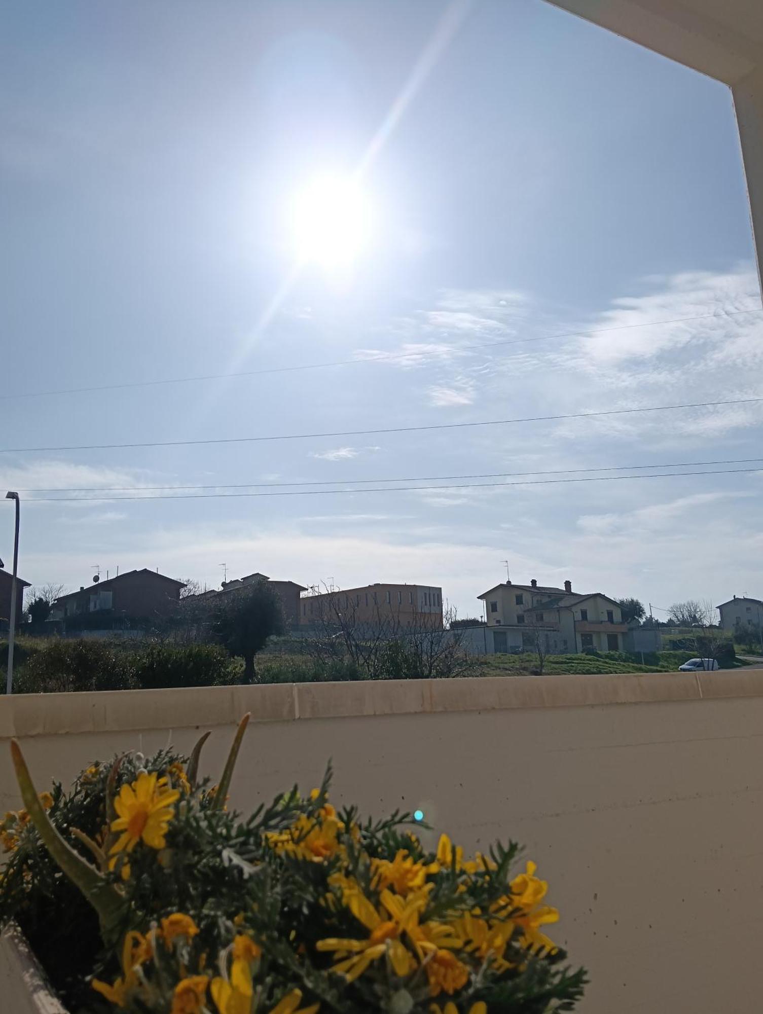 Ostra La Principessa Nera B&B الغرفة الصورة